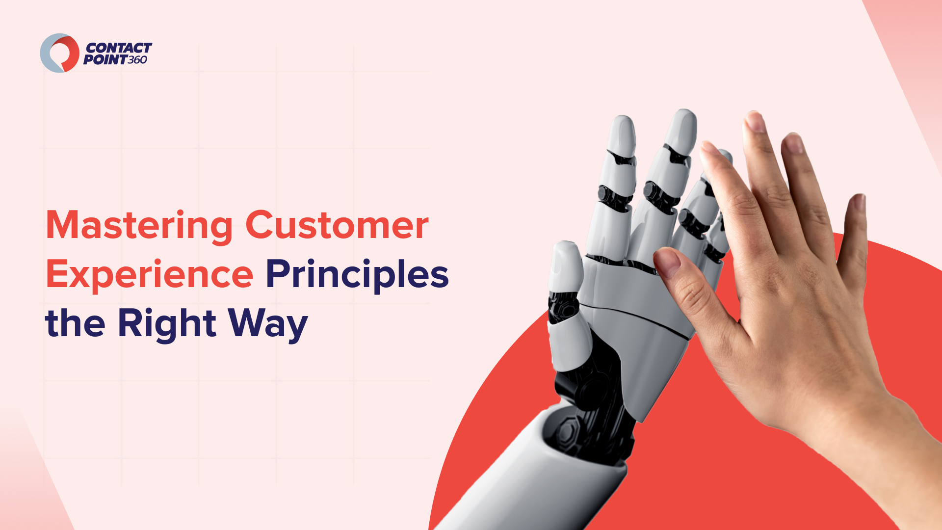 customer experience principles